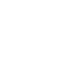 Model icon